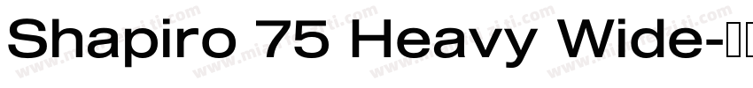 Shapiro 75 Heavy Wide字体转换